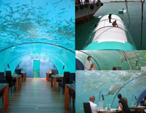 ithaa_undersea_restaurant1