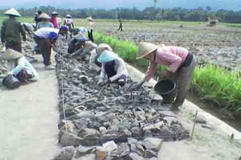 Pembangunan Lahan Irigasi Baru Sulit Capai Target