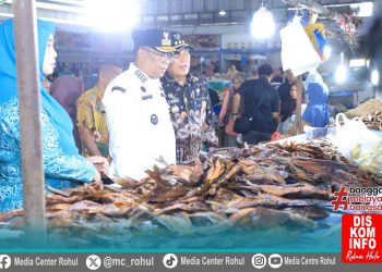 Pastikan Harga Bahan Pokok Aman, Bupati Rohul Mendampingi Pj Gubernur Riau Kunjungi Pasar di Rohul
