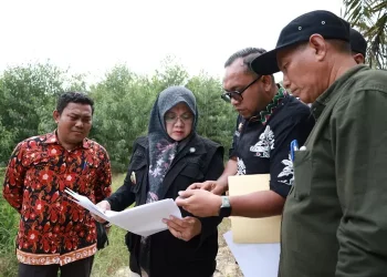 Kemitraan Adil: Bupati Siak Ajak PT RAPP dan DLHK Dialog untuk Kesejahteraan Warga Olak