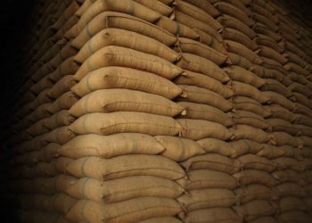 Stok Melimpah, Kenapa Harga Beras Masih Tinggi?
