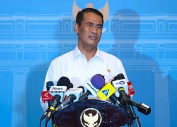 Apakah Stok Beras Nasional Benar-benar Aman?