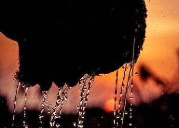 Mandi Fajar, Kebiasaan Rasulullah yang Didukung Sains Modern