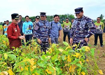 Menanam Asa di Tanah Lampung: Langkah Nyata Kasal Muhammad Ali untuk Wujudkan Kemandirian Pangan