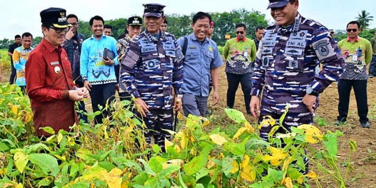 Menanam Asa di Tanah Lampung: Langkah Nyata Kasal Muhammad Ali untuk Wujudkan Kemandirian Pangan
