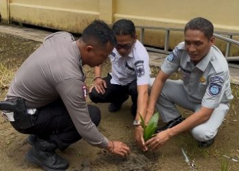 Tanami Bibit Pohon Di Lingkungan Samsat Tembilahan Riau Wujud Kolaborasi Pembina Samsat Dengan Satlantas Melaksanakan Green Policing