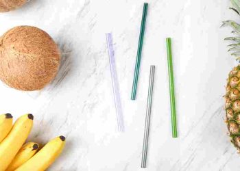 Plant-Based Lifestyle: Gaya Hidup Sehat dan Ramah Lingkungan yang Kian Populer