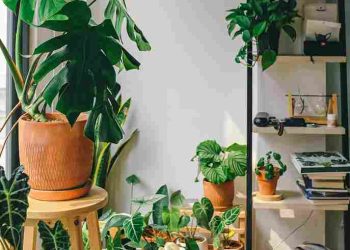 Kelebihan Humidifier Ultrasonic: Hemat Listrik dan Cocok untuk Bayi