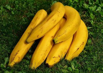 Makanan yang Dianjurkan untuk Anak Saat Diare, Orang Tua Diminta Tidak Panik
