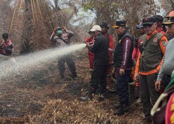 Fokus Padamkan Gambut, Bupati Zukri Cek Langsung Karhutla Teluk Meranti