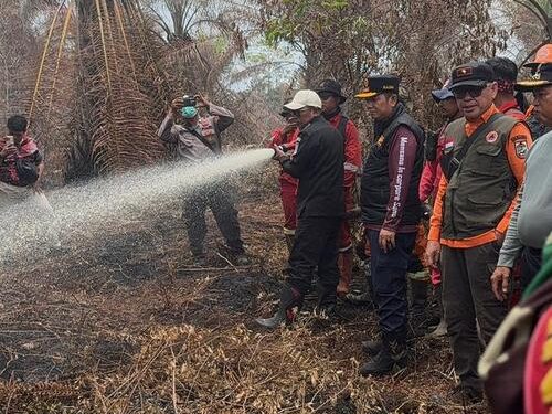 Fokus Padamkan Gambut, Bupati Zukri Cek Langsung Karhutla Teluk Meranti