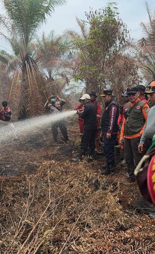 Bupati Pelalawan di lokasi kebakaran hutan dan lahan gambut 
Foto : Humas Pemkab Pelalawan