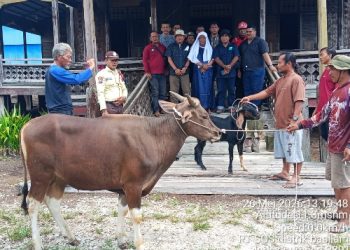 Sambut Hari Raya Idul Adha, PT Arara Abadi dan Mitra Pemasok APP Group Salurkan 58 Hewan Qurban ke Masyarakat Sekitar