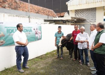 Sambut Iduladha 1447 H, PDC Distribusikan Hewan Kurban ke Seluruh Wilayah Operasional