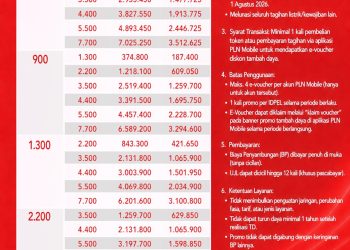 PLN Hadirkan Promo “Merdeka Day”, Diskon Tambah Daya 50% Lewat PLN Mobile