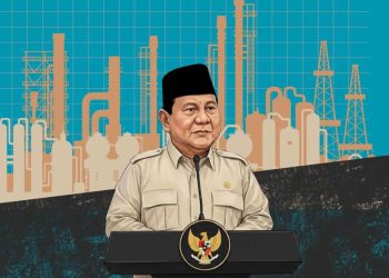 Prabowo Mulai Proyek PLTS 100 GWp, 14 Pembangkit Jadi Tahap Awal