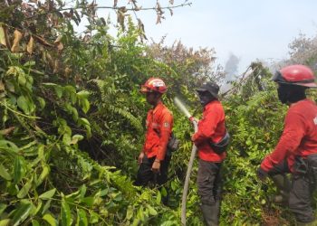 Karhutla Mengancam Meluas, PT Arara Abadi Bersama Satgas Riau Turun Tangan