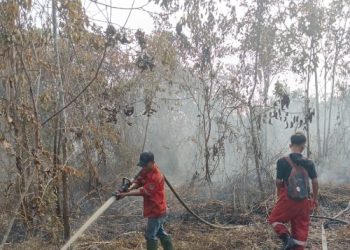 Tak Hanya di Konsesi, Arara Abadi Kerahkan 85 Personel Bantu Atasi Karhutla di Empat Lokasi