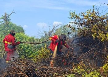 Hotspot Turun di Riau, Jambi, Sumsel, dan Kalimantan Selatan