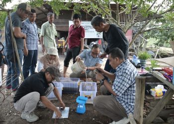 Dari Kolam ke Kesejahteraan, PT Arara Abadi Dorong Budidaya Baung sebagai Strategi Cegah Karhutla