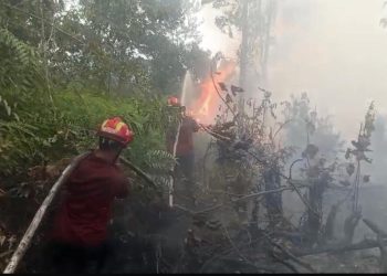 Cegah Api Merembet ke SMAN 2 Tualang Perawang, Arara Abadi Kerahkan Tim Pemadam dan Heli Water Bombing
