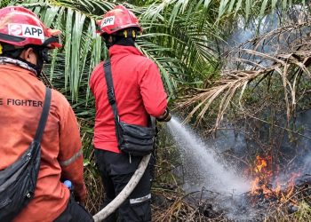Deteksi Api dari Patroli, Arara Abadi Bergerak Bersama TNI/Polri dan Masyarakat di Mempura