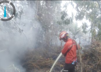 Tiga Minggu Tanpa Kabar, Ibu Ardinata Tarigan Cemas Menunggu di Medan